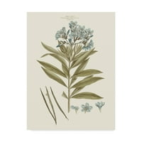Трговска марка ликовна уметност „Bashful Blue Florals III“ платно уметност од Millон Милер
