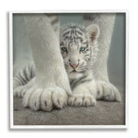 Sulpell Industries Симпатична нејасна тигар Бебе бел Бенгал со мајка близу 24, дизајн од Колин Гугл