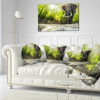 Дизајнрт Ераван водопад со слон - Фотографија Фрли перница - 12x20