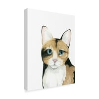 Трговска марка ликовна уметност „Портрет за мачки II“ платно уметност од Грејс Поп