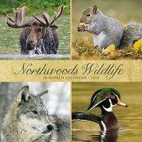 Willow Creek Press Northwoods Wildlife Wildlife Calendar