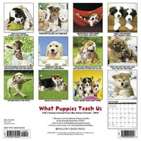 Врба Крик Прес она што кученцата нè учат календар на wallидови