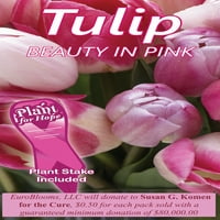 Euroblooms Tulip Beauty во розова, розова