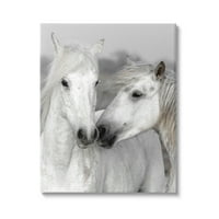 Бел коњ бакнеж животински свет животни и инсекти галерија со фотографии завиткани од платно печатење wallидна уметност