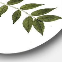DesignArt 'Антички ботаники xviii' Традиционална метална wallидна уметност на кругот - диск од 29